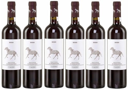 Naoussa Cavino rot 6x 0,75l Flasche | Trockener Rotwein aus Griechenland | 12% Vol. | +20ml Jassas Olivenöl