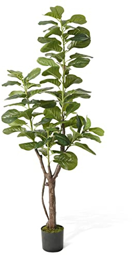 CAPHAUS Artificial Fiddle Leaf Fig Tree, 6/7 Feet in Pot with Dried Moss, for Indoor House Home Office Store, Potted Ficus Lyrata Faux Tree, Fake Plant Modern Decoration Gift for Housewarming