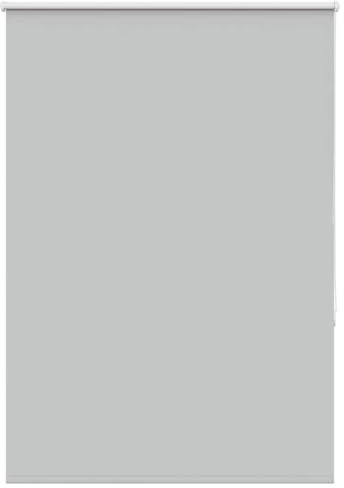 vidaXL Estor Enrollable Opaco Gris Claro 100x150 cm, Tela Ancho 95,7 cm, Día y Noche, Cocina