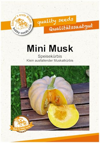 Mini Musk Kürbissamen von Bobby-Seeds, Portion
