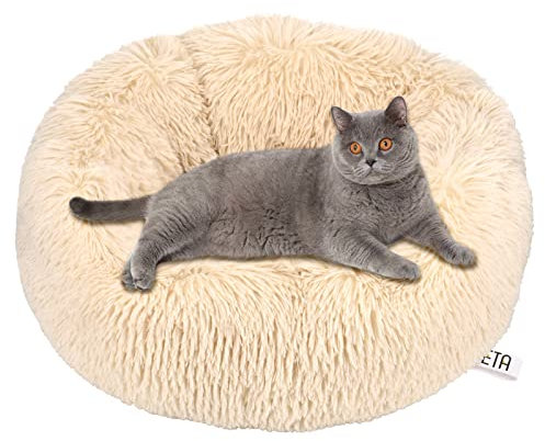 Queta Katzenbett Schöne Tierbett, Klein Hund Bett Haustierbett Plüsch Weich Runden Katze Schlafen Bett (50cm, Beige)