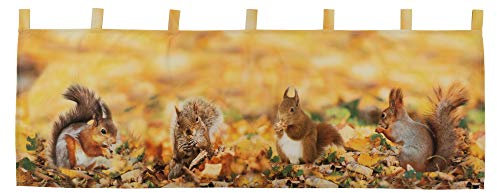 Raebel OHG Scheibengardine 45x120 cm Herbst Eichhörnchen Panneau Bistrogardine Gardine Gelb Bunt 100% Polyester