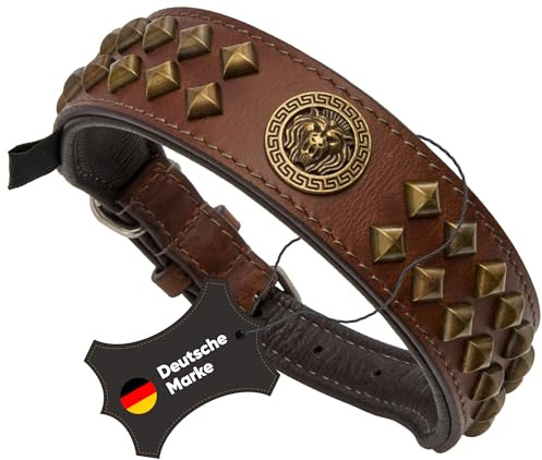 MICHUR® Hundehalsband Leder mit Nieten & Löwenkopf, Braun Gold | Lederhalsband für Hund, Handgefertigt, Weich gepolstert, Flauschig & fellschonend, Verstellbar, Robust & langlebig