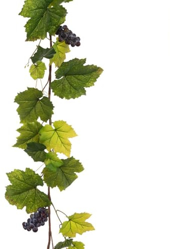 FloristryWarehouse Faux Silk Grape Vine Leaf and Fruit Garland 180cm/71 Inches Long
