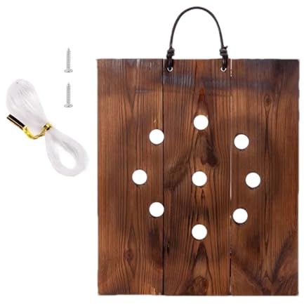 Jardinera de Pared genérica, Soporte de Pared Interior para epífitos – Jardinera Colgante para Aire – Habitación, balcón, Oficina, Interior, Exterior