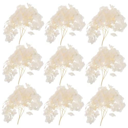 Yardenfun de Hortensia Preservados Naturales Secos Tono para Decoración de Bodas Centros de Mesa y Arreglos Hogar y Jardín