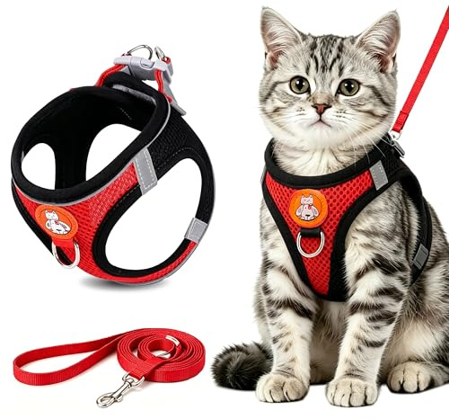 Katzengeschirr Mit Leine Ausbruchsicher, Verstellbares Brustgeschirr für Kleine Hunde & Katzen mit Leine, Atmungsaktives Mesh, Reflektierend, Ausbruchsicher, Welpengeschirr Cat Harness (Rot, S)