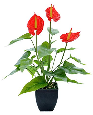 Wnvivi Künstliche Calla-Lilien Im Topf, 35 cm, Kunststoffblumen, Künstliche Calla-Lilien-Topfpflanze, Künstliche Topfblumen für Innen- und Außenbereich, Heimdekoration(Rot)