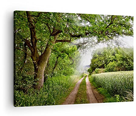 ARTTOR Bilder auf Leinwand 70x50cm Wandbild Landschaften Wald - 2637 | Weg Natur Klein Wanddekoration Wohnzimmer Schlafzimmer Küche Wanddeko Wand Kunstdruck Wandkunst Wall Decor ARTTOR