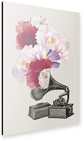 artboxONE Alu-Print 30x20 cm Blumophon von Künstler Amy&Kurt