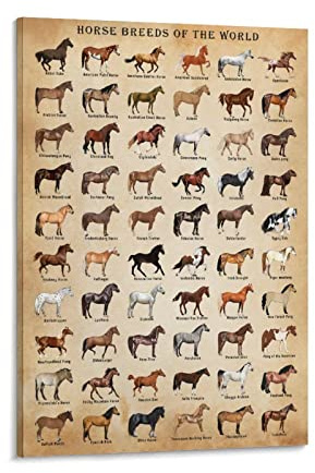 XNLKSI Poster Horse Knowledge, gerahmt, 30,5 x 40,6 cm
