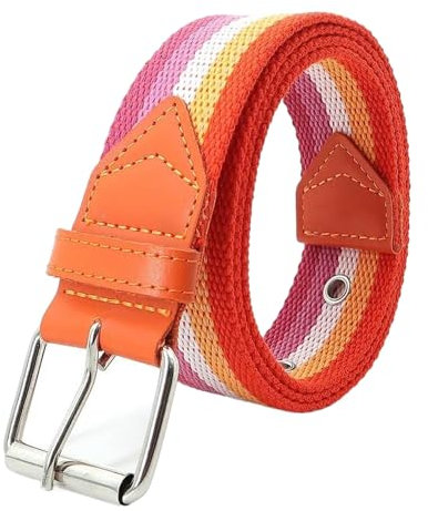 ZacLAy Bunter Regenbogen-Canvas-Dornschließe-Gürtel für Damen, lässig, taktischer Nylon-Männergürtel, Militärbund
