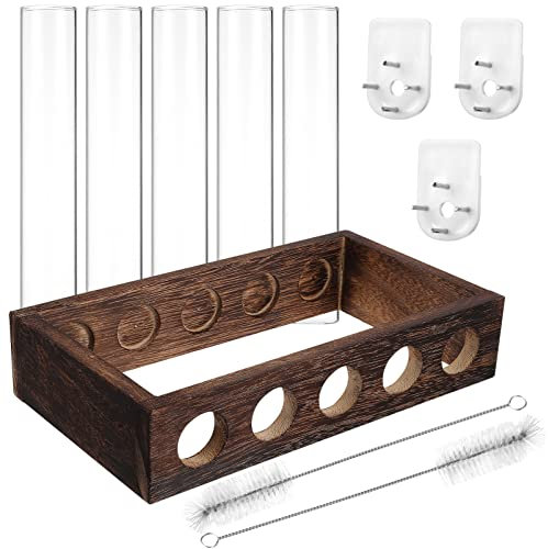 VINTORKY 1 Set Pflanzenvermehrungsstationen Mit Holzrahmen 5 Testrohren 2 Reinigungsbürsten Und 3 Schrauben Für Die Wandmontage Stilvolle Terrarium Deko Für Zimmerpflanzen Und Blumen