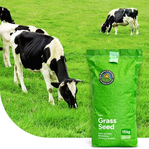 Prairie permanente BG3 - Semences pour Prairie - 15 kg pour 3.000 m2-100% Ray-Grass Anglais - Convient au pâturage intensif - Idéal pour la Production de Foin et de fourrage