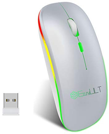 EasyULT Ratón Recargable, BT5.1 + 2.4G Inalámbrico, Ultra Delgado Ratón Bluetooth óptico, 1600 dpi Ajustables Silencioso Mouse para Computadora Portátil, Windows, MacBook(Plata)