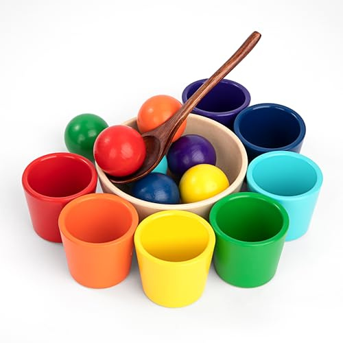 Jeesblsy Bälle in Tassen Montessori Spielzeug, Farbe Sortierung und Zählen, Holz Sorter Spiel 7 Farben Matching Toy für Kinder Jungen Mädchen ab 3 Jahr (Bunt)