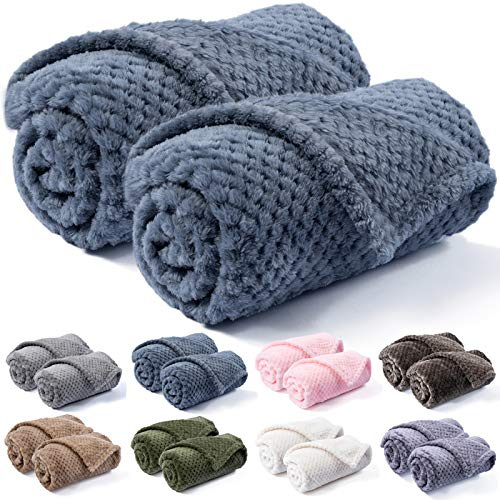 Warm Soft Fuzzy Dog or Cat Blanket, Plush Fleece Throws for Puppy, Kitten, Bed, Couch, Sofa, Travel (S/24 x 32, Blue)