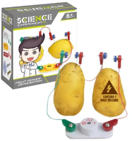 Buroku - Kit di Bioelettricità per Bambini | Genera Elettricità con Frutta e Bevande | Gioco Educativo STEM per Imparare l’Elettrochimica | Senza Pile, Sicuro e Facile da Montare