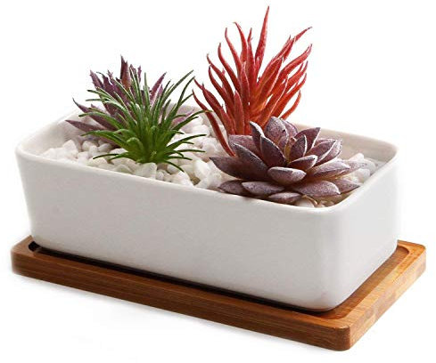 T4U 16,5CM Rechteckig Blumentopf Klein Keramik mit Untersetzer Sukkulenten Töpfe Kaktus Pflanze Toft, Mini Blumentöpfe Innen für Sukkulenten, Übertopf Klein Keramik Weiß 1er Set