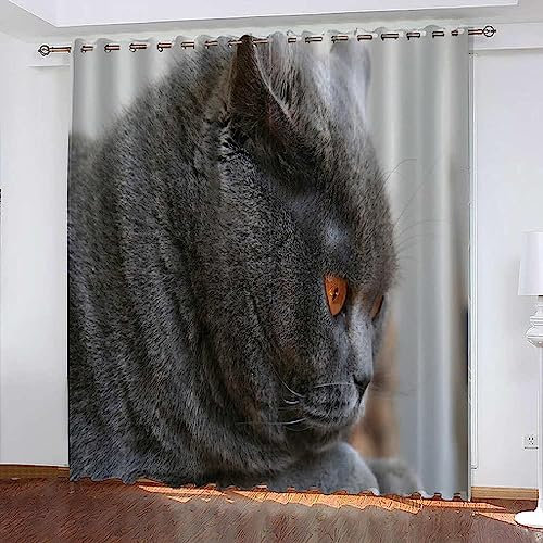 Verdunkelungsvorhänge Kräuselband Graue Tierkatze Set Kindergardinen Mädchen Verdunkelungsvorhänge Mit Ösen Blickdichter Kinderzimmer Schlafzimmer V