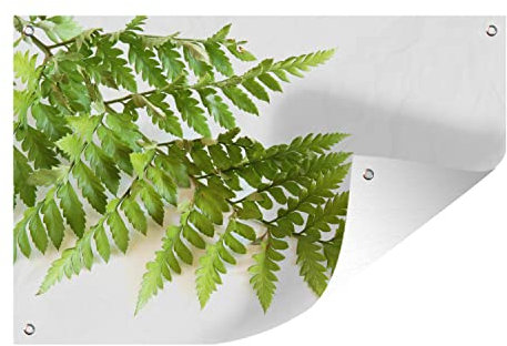 MuchoWow Outdoor-Poster Poster Wanddeko draußen Deko Garten Gartenposter 90x60 cm Grüne Blätter eines Farns vor einem weißen Hintergrund
