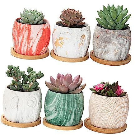 YARNOW 1 Satz 12St kreativer Blumentopf Sukkulenten Pflanzen Selbstbewässernde Pflanzgefäße bodenwanne pflanzuntersetzter Pflanztöpfe aus Keramik fleischiger Blumentopf Hölzern
