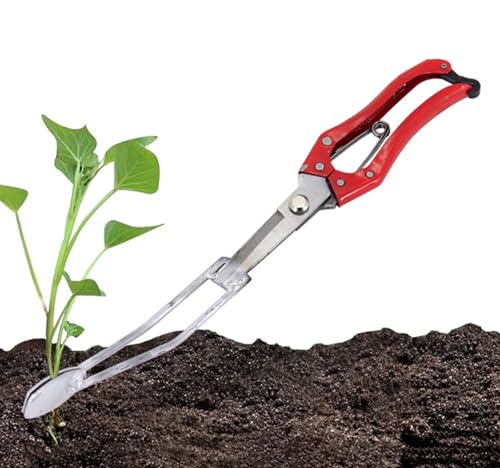 Biniveil Transplanteur De | Outil de Repiquage de Légumes | Accessoire de Plantation pour Agriculteurs Urbains Jardiniers Balcon Terrasse Pépinières Poivrons