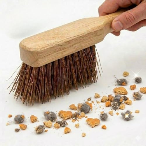 12 Inch Hand Brush | Natural Coconut Fibre Cleaning Brush | Heavy Duty Wooden Hand Brush for Kitchen, Bathroom, Floor & Tile Cleaning | Durable Home Scrubbing Brush