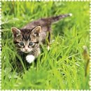 schönes Motiv Microfasertuch Katze
