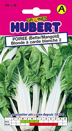Graines de Poirée (Bette/Mangold) Blonde à carde blanche 2-5 grammes