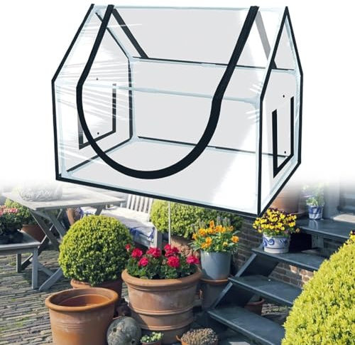 Advokingtap Mini invernadero compacto, cubierta de PVC reforzada, marco de acero fácil de montar sin herramientas, para jardín pequeño para cultivar plantas de casa, frutas, verduras