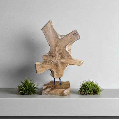 Kinaree Teak Wurzelholz Baumscheibe - Skulptur Teakholz - 52cm Statue aus Teak Wurzel Holz