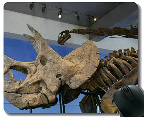 Mausunterlage mit Sperrkante, Dinosaurier-Fossil-Museum-personalisierte Rechteck-Spiel-Mausunterlagen