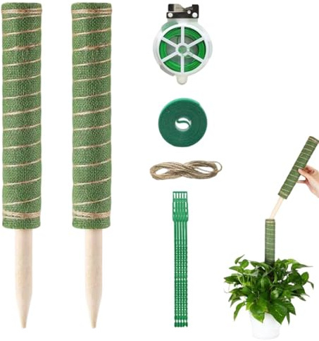 Tutor Muschio per Monstera - Strumento da giardinaggio riutilizzabile con assorbimento d'acqua | di supporto per piante - per piante da appartamento Pothos Filodendro Vaso Fioriera Balcone