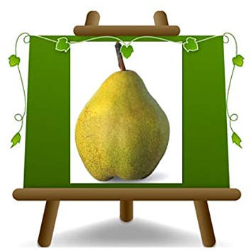 EURO PLANTS VIVAI Poirier arbre de Decana dell'inverno (de l'hiver) plante fruitière en pot 24/26 cm hauteur maximale 180 cm - Âge 4 ans