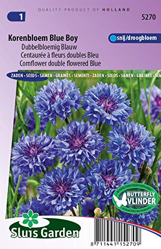 Centaurée à fleurs doubles Blue Boy - Graines De Fleurs Annuelles