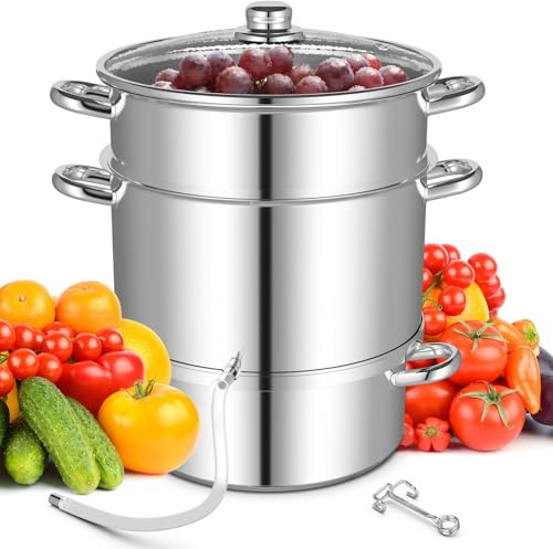 Presse-agrumes à vapeur en acier inoxydable, fruits et légumes, cuiseur vapeur de 11 litres avec tuyau, pince, couvercle, poignée annulaire, pour faire des jus, gelées, sauces