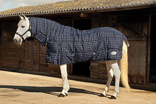 Rhinegold Dakota Steppdecke, Wintergewicht, 300 g/m², Unisex, Navy/White Check, 2 m