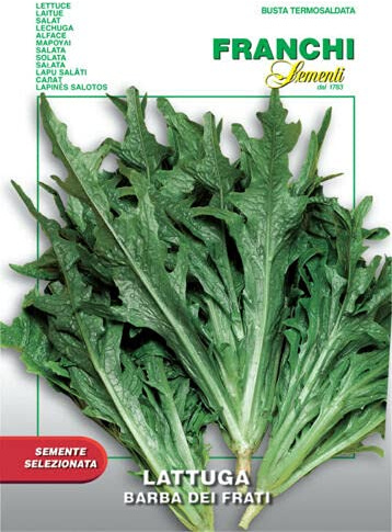 Semi Lattuga Barba dei Frati Franchi Sementi 8g