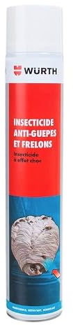 Insecticide Foudroyant Guêpes et Frelons 750ml Spray Aérosol | Choc Longue Portée 6 Mètres, Répulsif et Persistant, Testé par les Pompiers, Idéal Pros et Particuliers