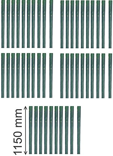EXCOLO 50x Baumschutzspirale 115 cm, transparent, Flexible PET-Folie, witterungsbeständig, UV-beständig, Stammschutz Manschette, Wildschutz, Rinderschutz, Baumstamm Schutz, langlebig