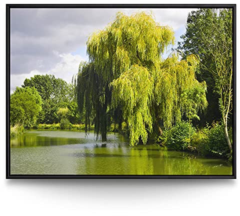 BilderKing Wandbild Weide am Fluss - 160cm x 120cm Leinwand auf 2cm Keilrahmen mit Schattenfugenrahmen schwarz