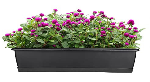 BigDean Blumenkasten mit Untersetzer 60 cm lang anthrazit - aus PP-Kunststoff - Balkon Pflanzkasten schmal Balkonkasten