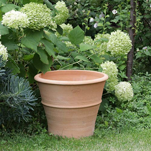 Palatina Werkstatt Vaso da fiori in terracotta Yucca 40 cm – 100% fatto a mano – Decorate la vostra casa con la fioriera resistente all'inverno per interni ed esterni