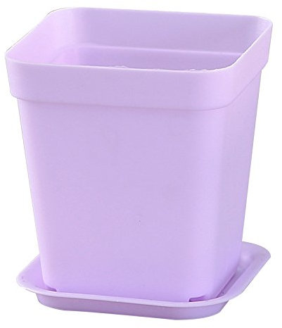Namzi 10 pezzi con vassoio in plastica ispessita, vaso quadrato per piante grasse, vaso rettangolare viola per piantine, vaso per piante grasse, 7 x 7 cm