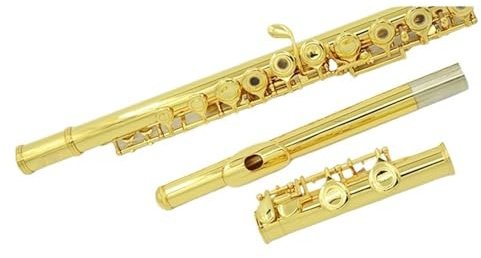 Flöteninstrument 16-Tasten-Flöte professionelle Flöte