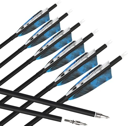 HNZMDY 6 Stück Bogenschießen Carbon Pfeile 28/30/31 Zoll Jagdpfeile Spine 500 mit Naturfeder Bogen Pfeile für Recurvebogen Compoundbogen