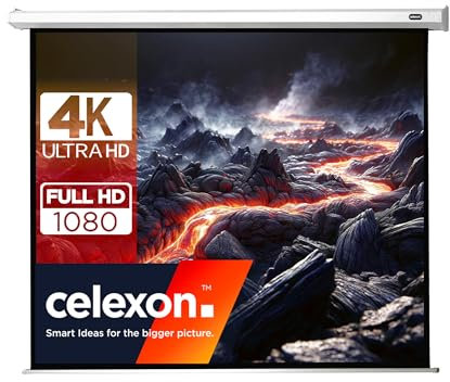 celexon Economy Motor-Leinwand 120 | 240x180 cm 4:3 | elektrische 4K,Full-HD Beamer-Leinwand für Büro-Präsentationen & Ihr Heimkino | zur Wand- und Deckenmontage | inkl. Fernbedienung