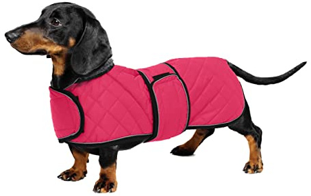 Geyecete - Warmer wintermantel für dackel Hunde,Hunde winterjacken mit plüschfutter,Outdoor jacken mit verstellbaren gürtel und Kabelbaumloch ,für mittelgroße und Kleiner dackel-Rosa-L