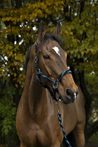 NORTON „Tressé“ Halfter und Führstrick, Vollblut, türkis/marineblau/schwarz